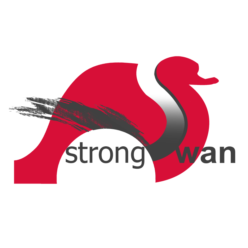 (c) Strongswan.org